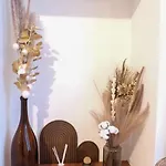 Apartament Lit King Size Tres Cosy Hyper Centre De Calme Foix