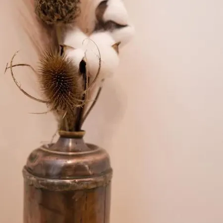 Apartment Lit King Size Tres Cosy Hyper Centre De Calme *