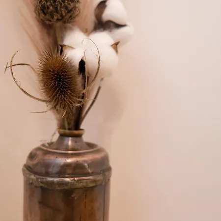 Apartment Lit King Size Tres Cosy Hyper Centre De Calme